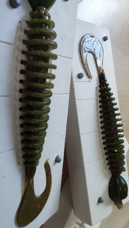 Ringer Worm 4