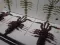 Mosya 45