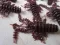 Mosya 45