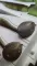 Easy Shiner 4.5 