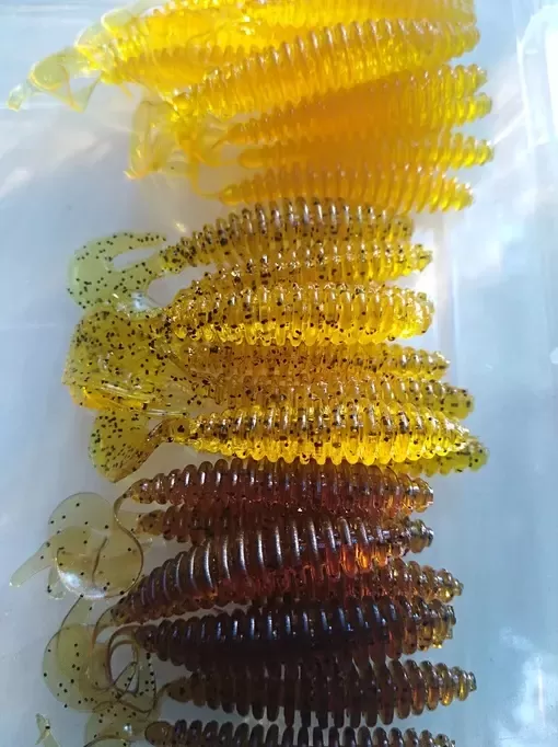 Ringer Worm 2
