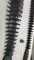 LC-Ribster 4.5