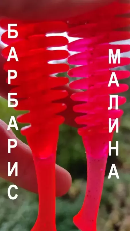 ФЛУО прозорий Барбарис
